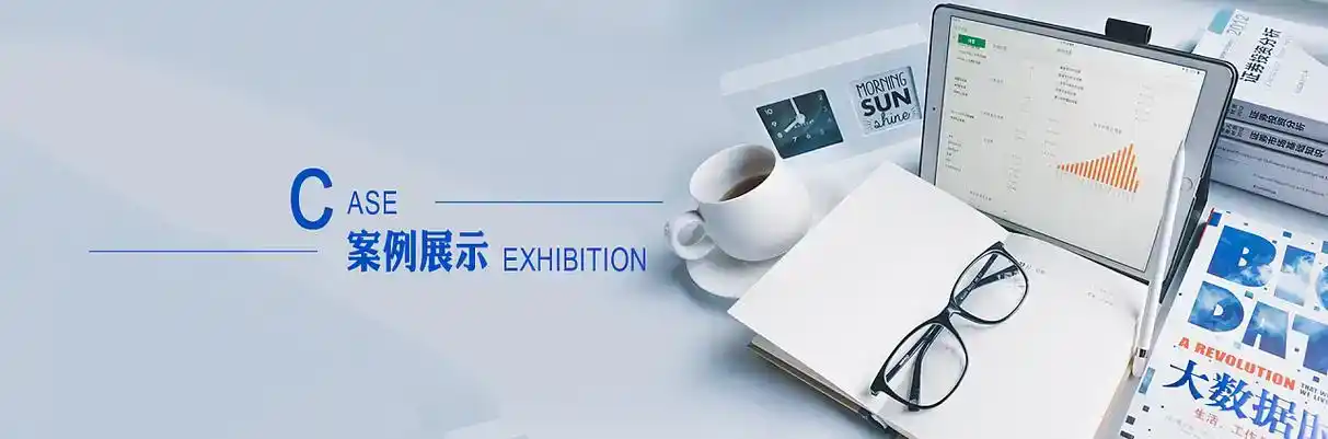 玉树县软件开发